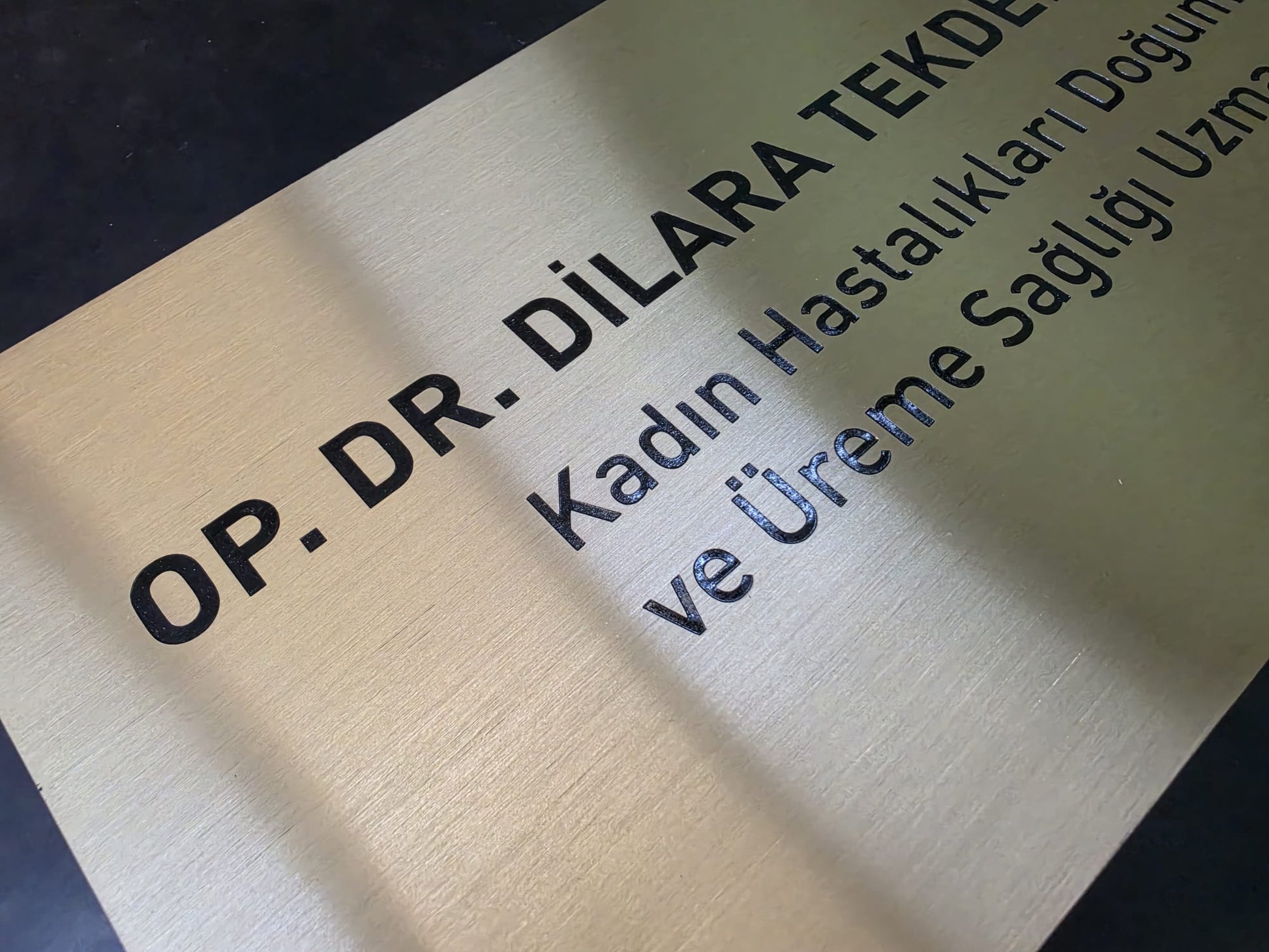 Özel klinik girişleri için doktor adı ve uzmanlık bilgisi bulunan metal kapı tabelası
