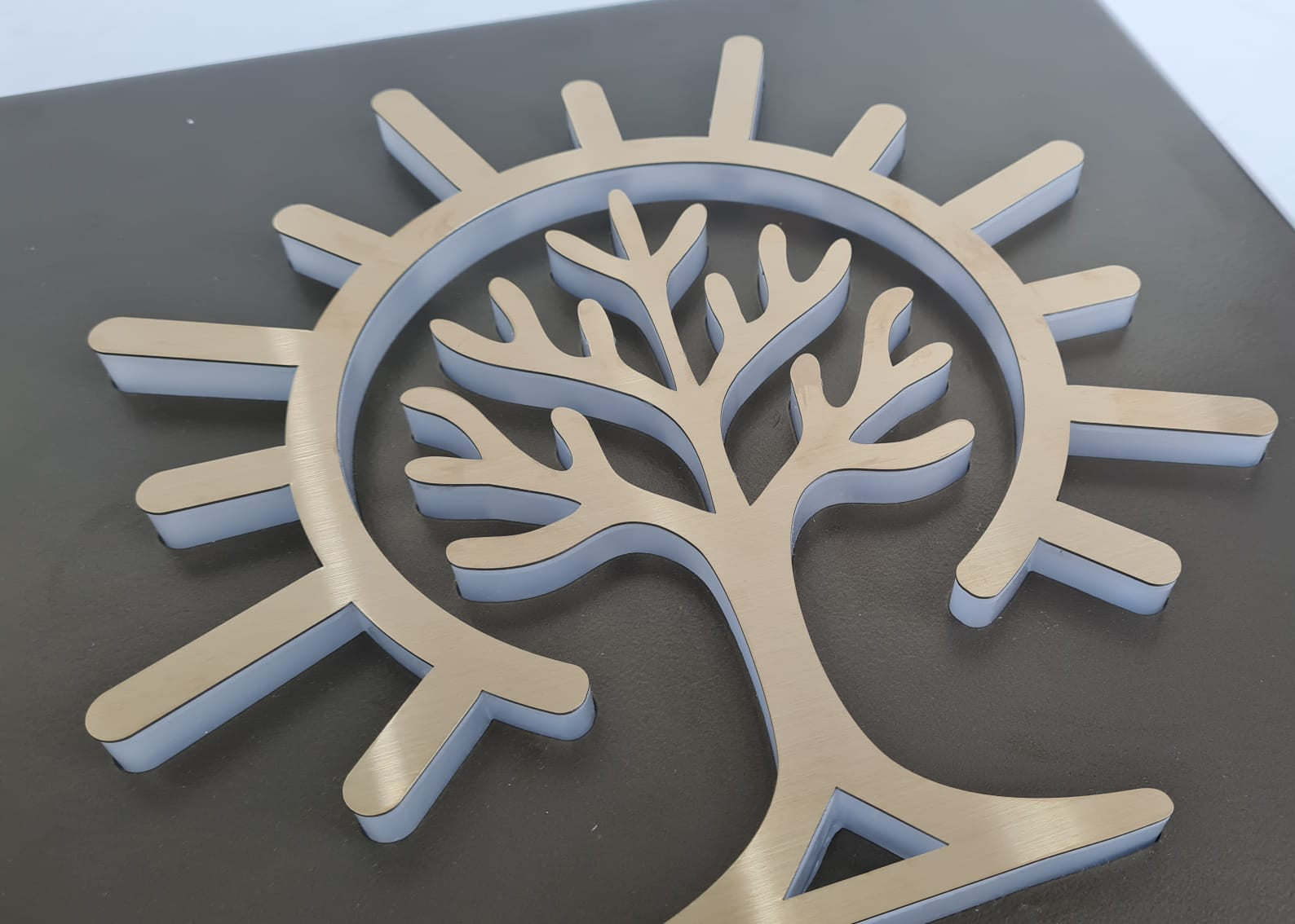 Satineli paslanmaz metal yüzeyli özel üretim giriş tabelası